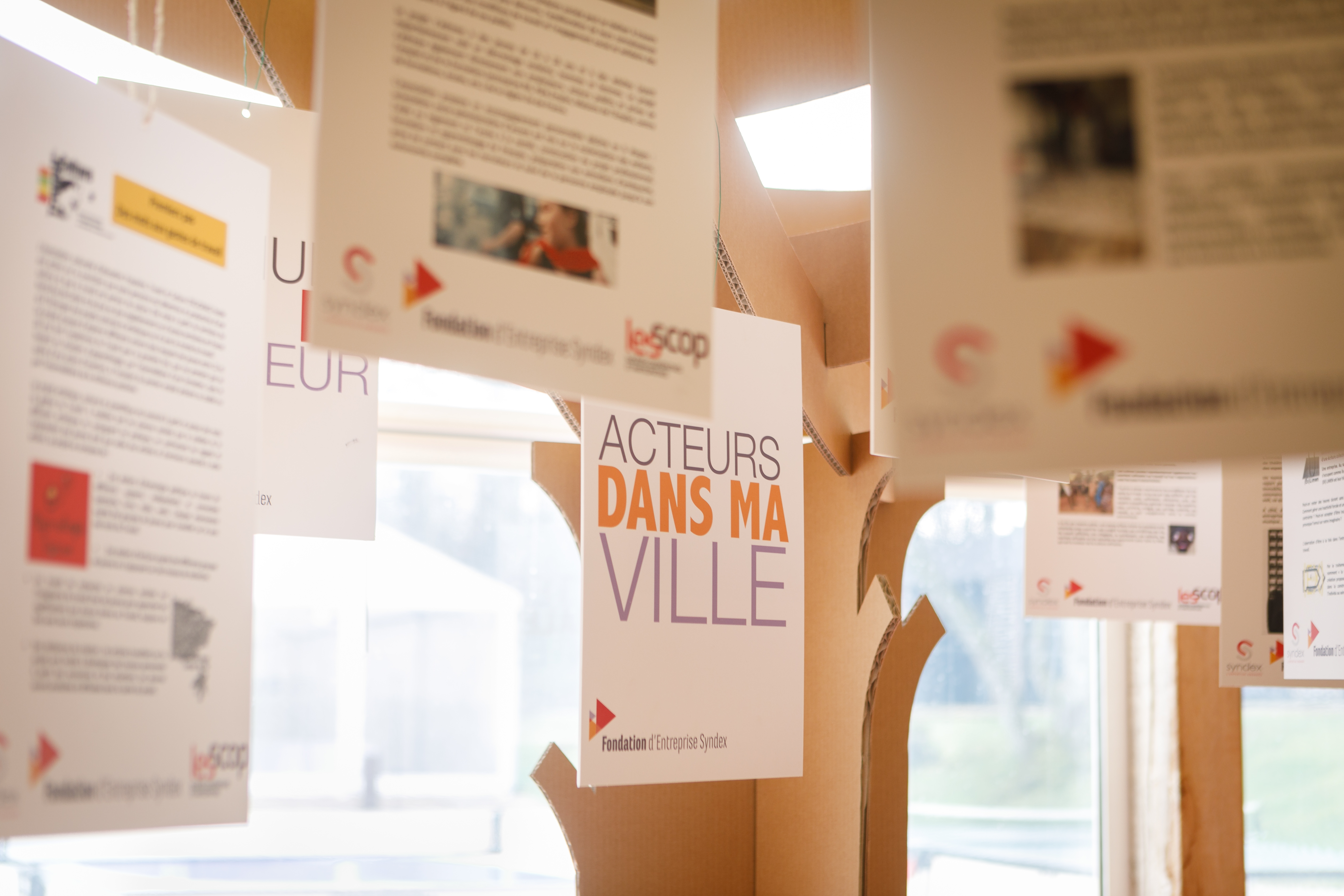 arbre en carton avec des fiches présentant les projets