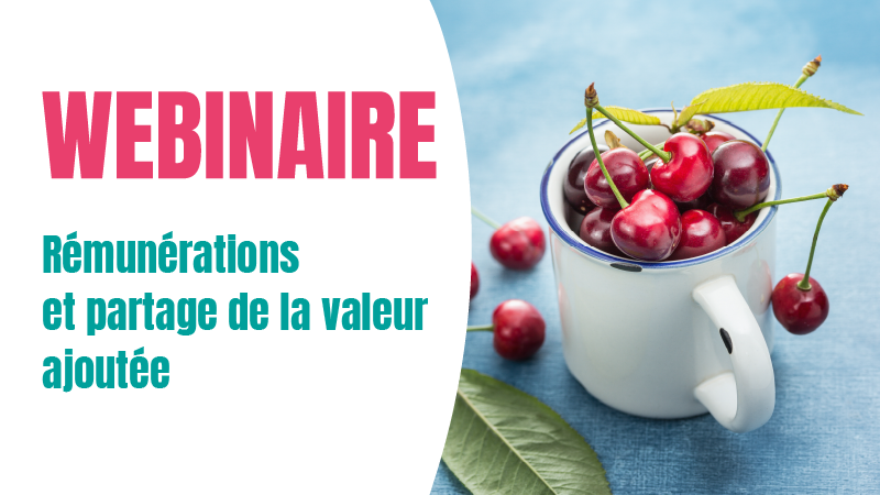 webinaire rémunérations et partage de la valeur