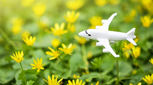 avion
