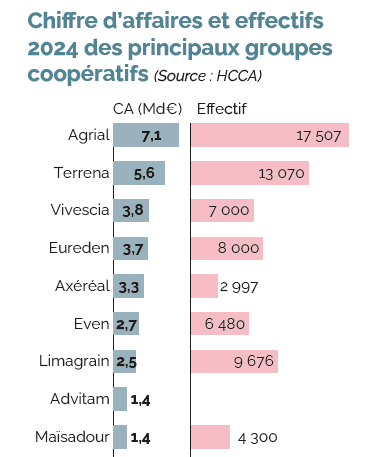 chiffres d'affaires et effectifs 2024
