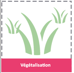 Végétalisation