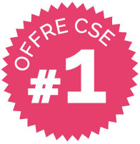 Offre 1 - Comprendre le CSE