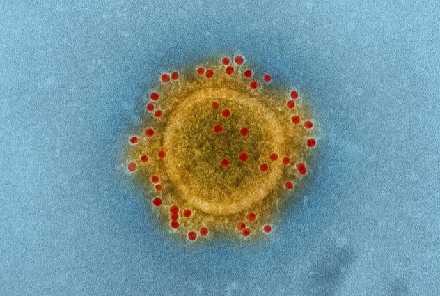 coronavirus